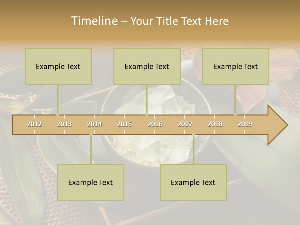 Body Salt Renew PowerPoint Template