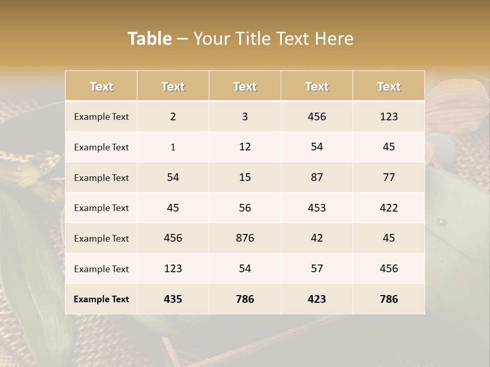 Body Salt Renew PowerPoint Template