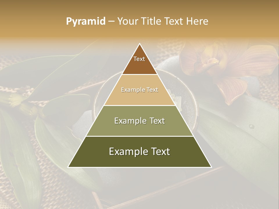 Body Salt Renew PowerPoint Template