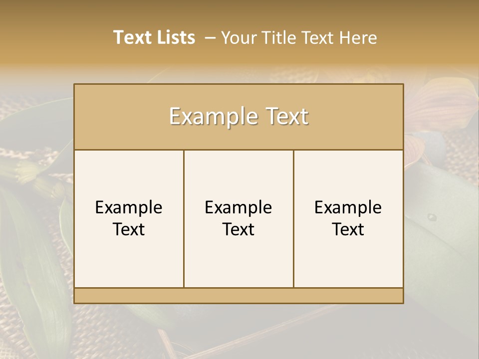 Body Salt Renew PowerPoint Template