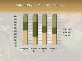 Body Salt Renew PowerPoint Template