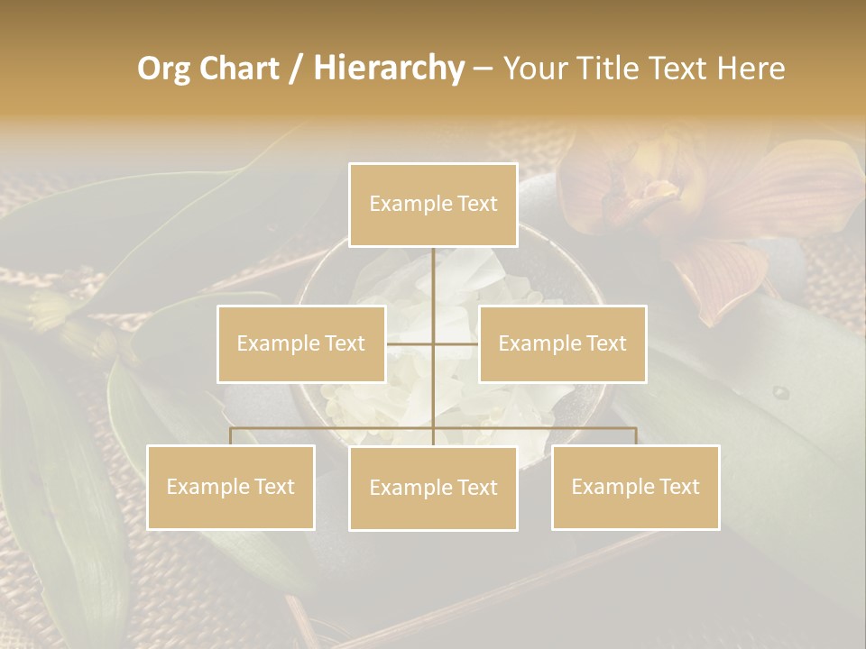 Body Salt Renew PowerPoint Template