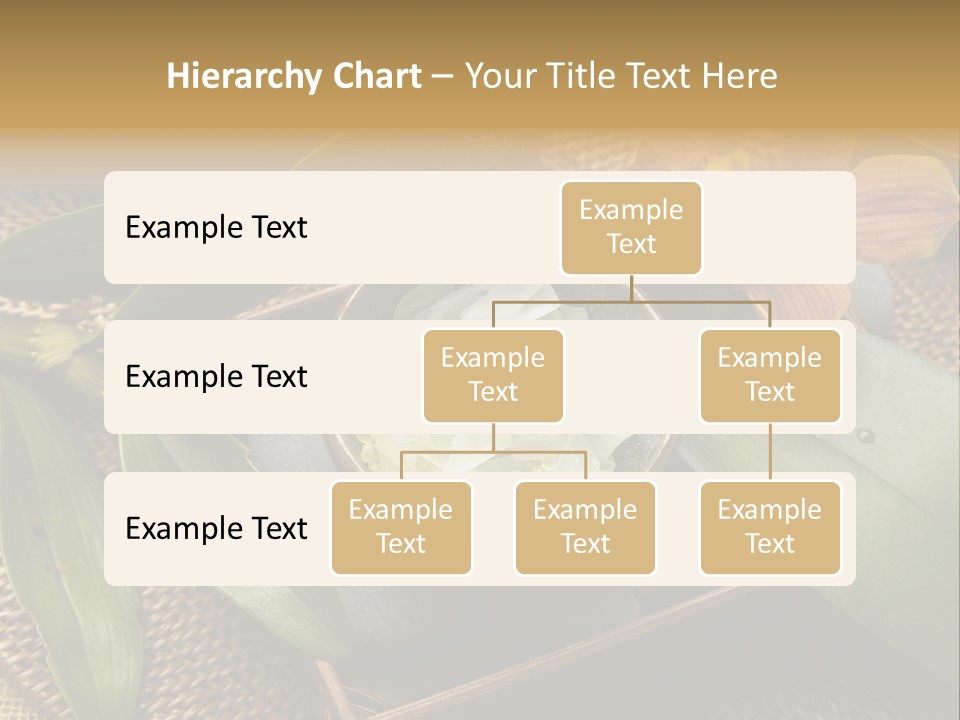 Body Salt Renew PowerPoint Template