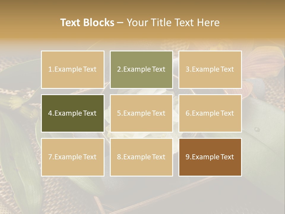 Body Salt Renew PowerPoint Template