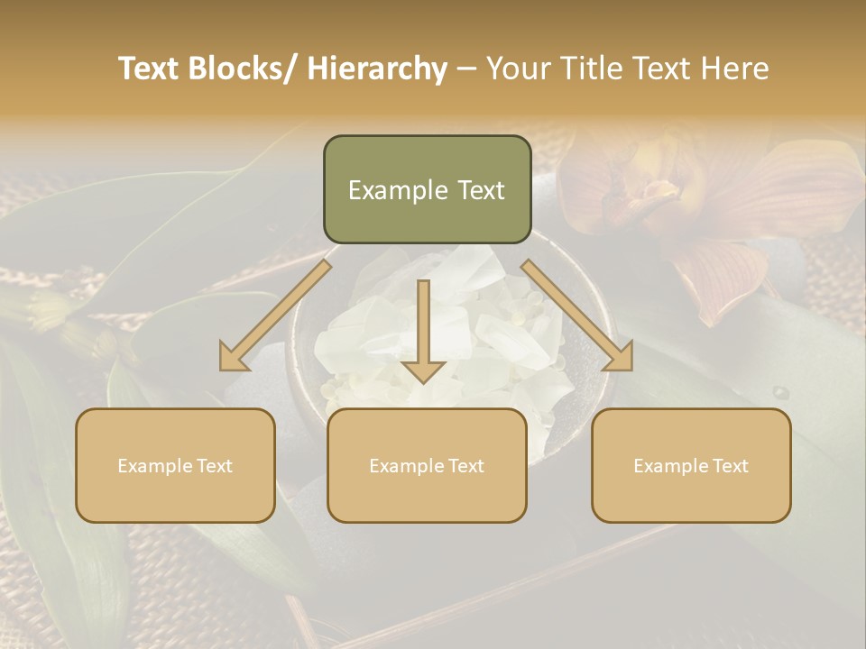 Body Salt Renew PowerPoint Template