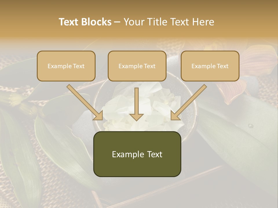 Body Salt Renew PowerPoint Template