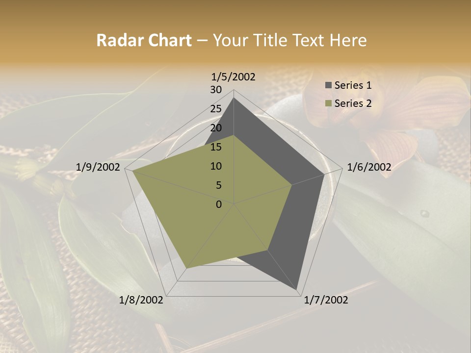 Body Salt Renew PowerPoint Template