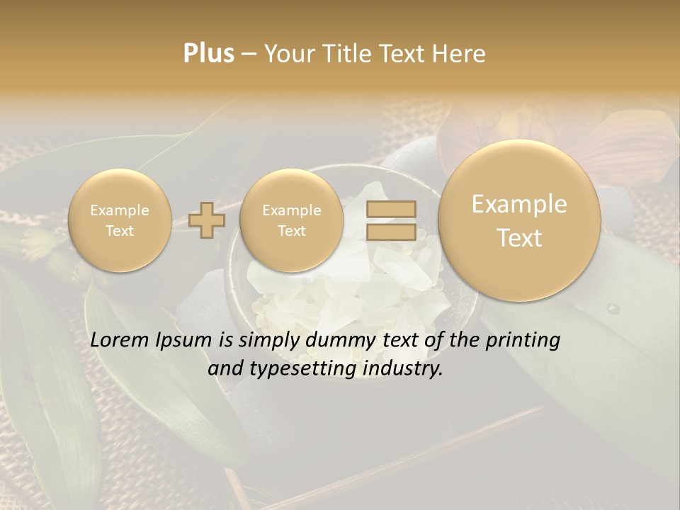 Body Salt Renew PowerPoint Template