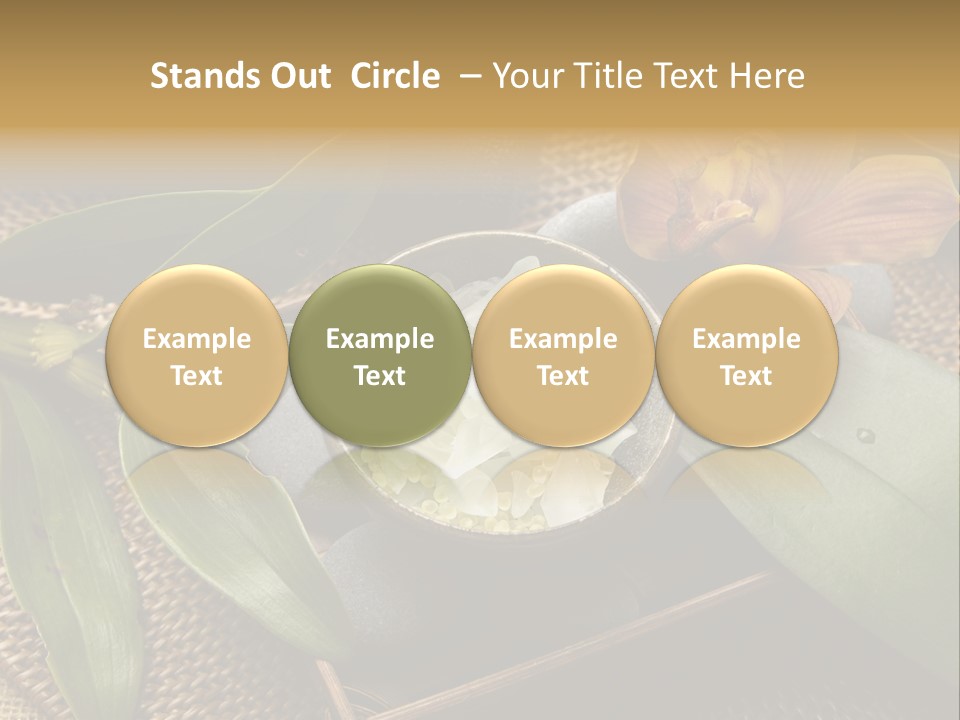 Body Salt Renew PowerPoint Template