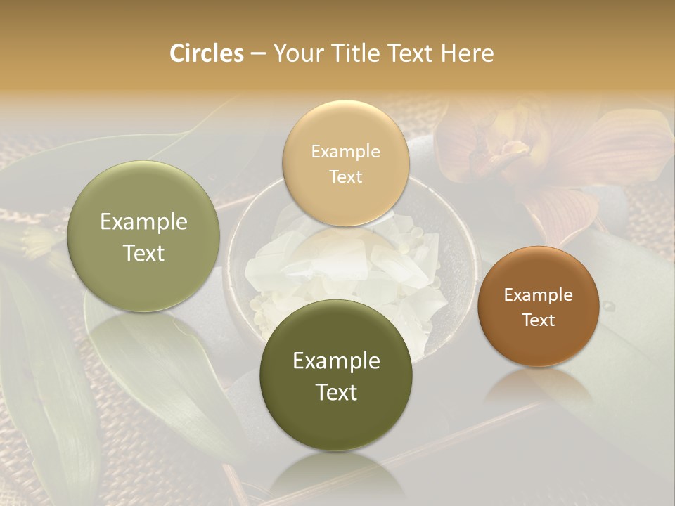 Body Salt Renew PowerPoint Template