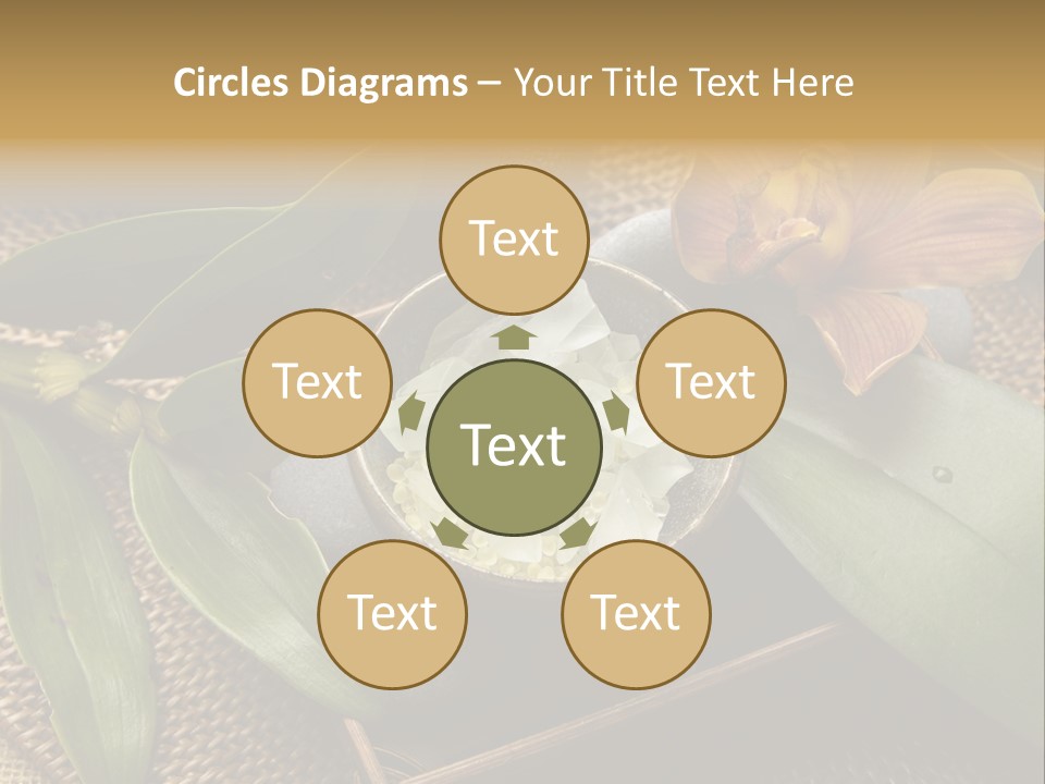 Body Salt Renew PowerPoint Template