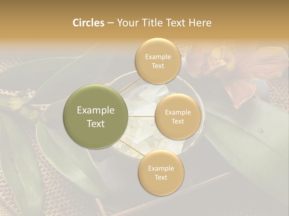 Body Salt Renew PowerPoint Template