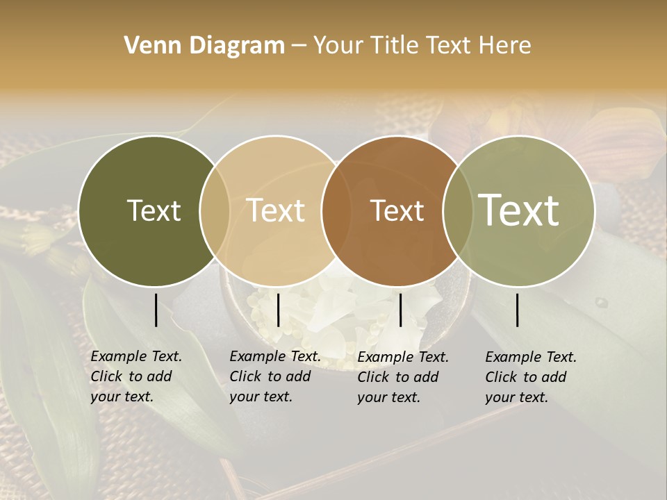 Body Salt Renew PowerPoint Template