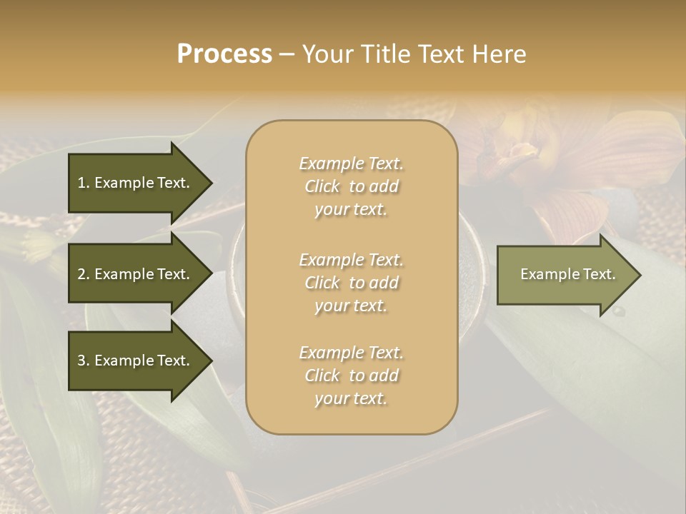 Body Salt Renew PowerPoint Template