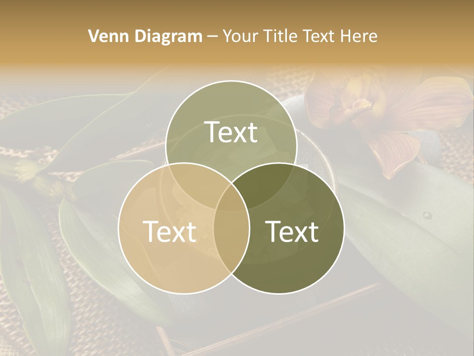 Body Salt Renew PowerPoint Template