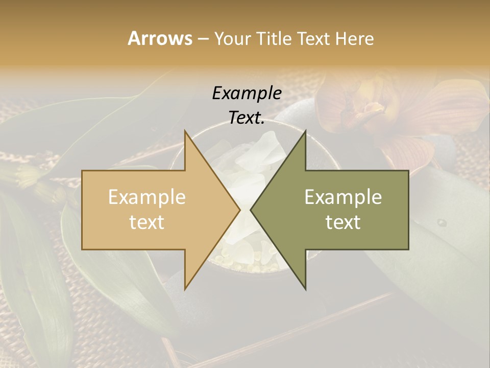 Body Salt Renew PowerPoint Template