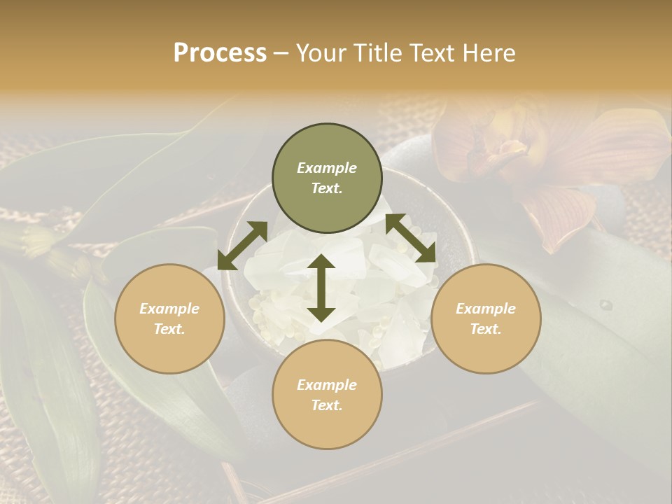 Body Salt Renew PowerPoint Template