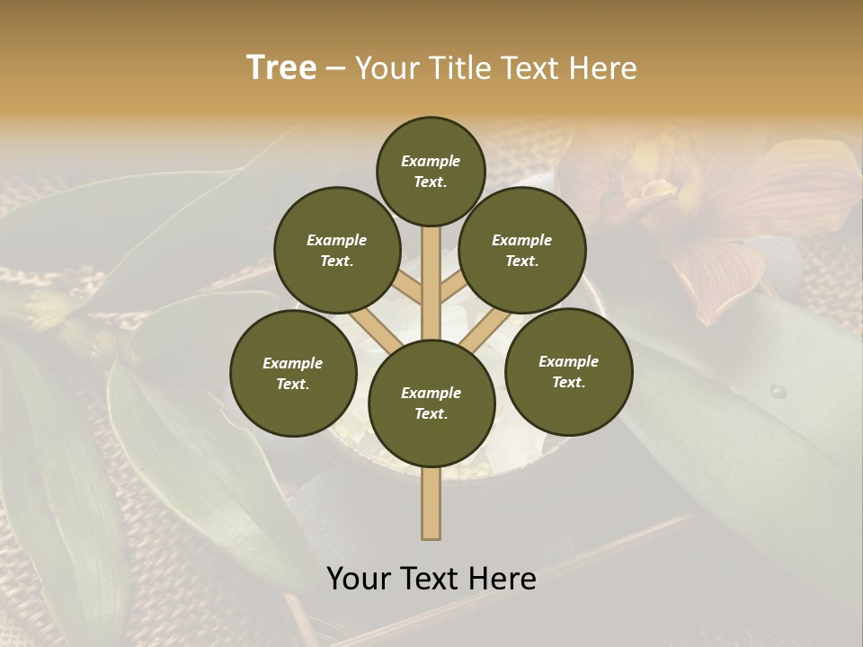 Body Salt Renew PowerPoint Template