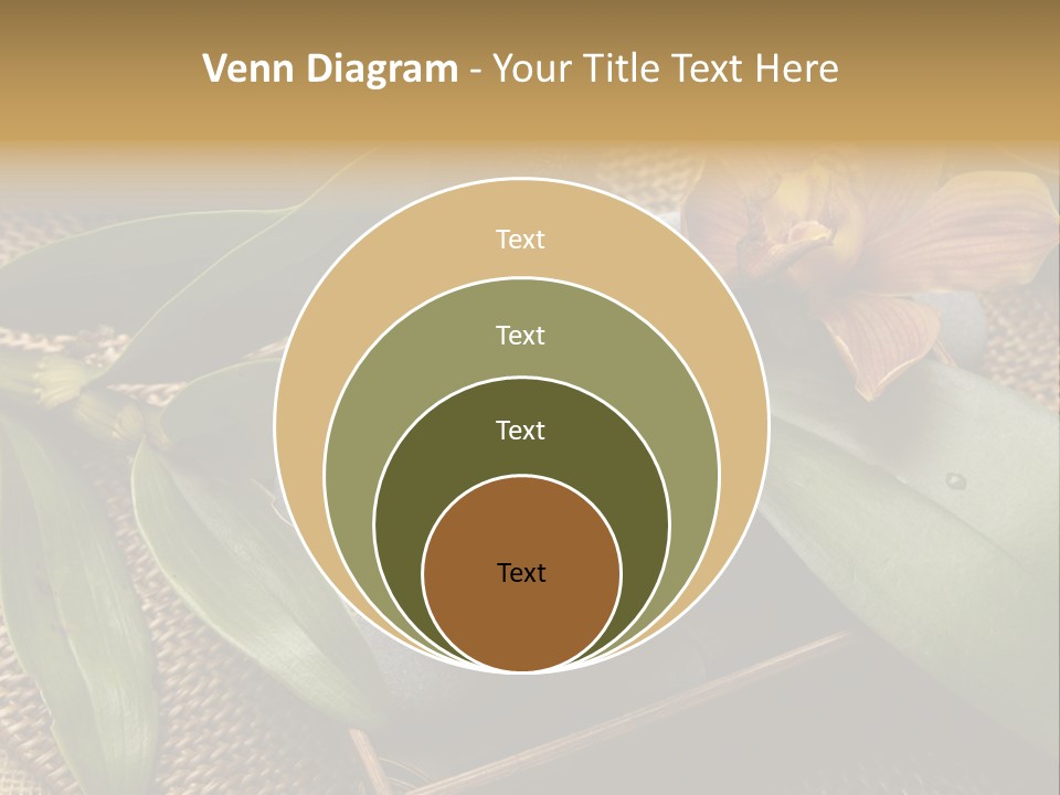 Body Salt Renew PowerPoint Template