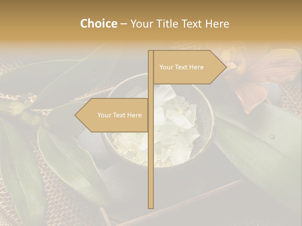 Body Salt Renew PowerPoint Template
