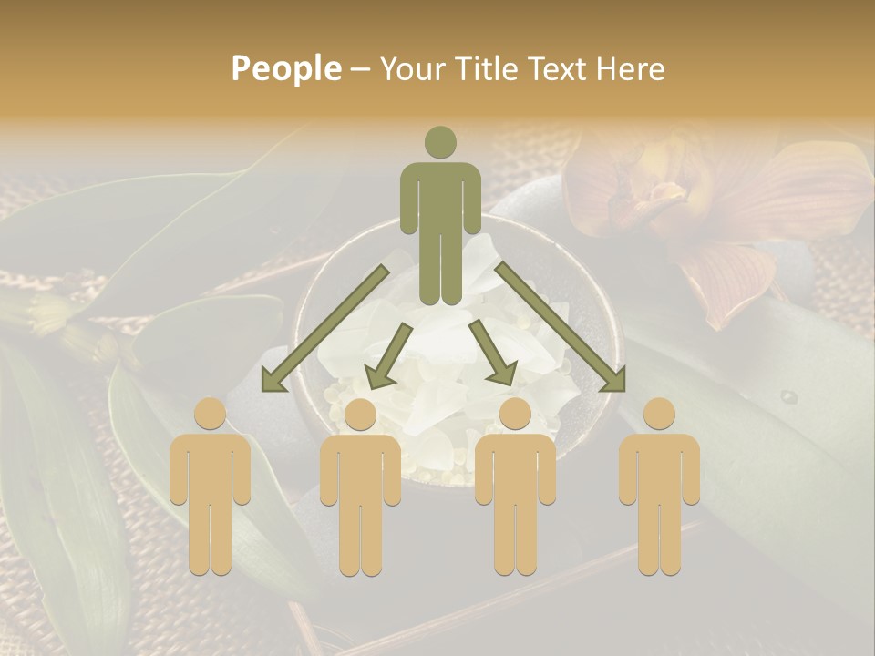 Body Salt Renew PowerPoint Template