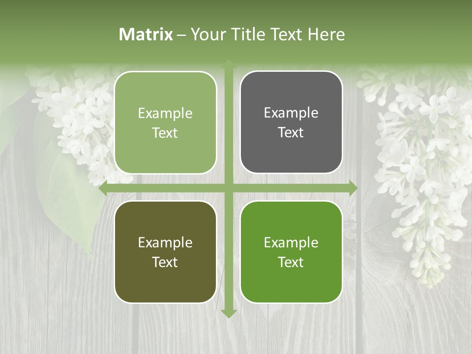 Flora Beauty Space PowerPoint Template