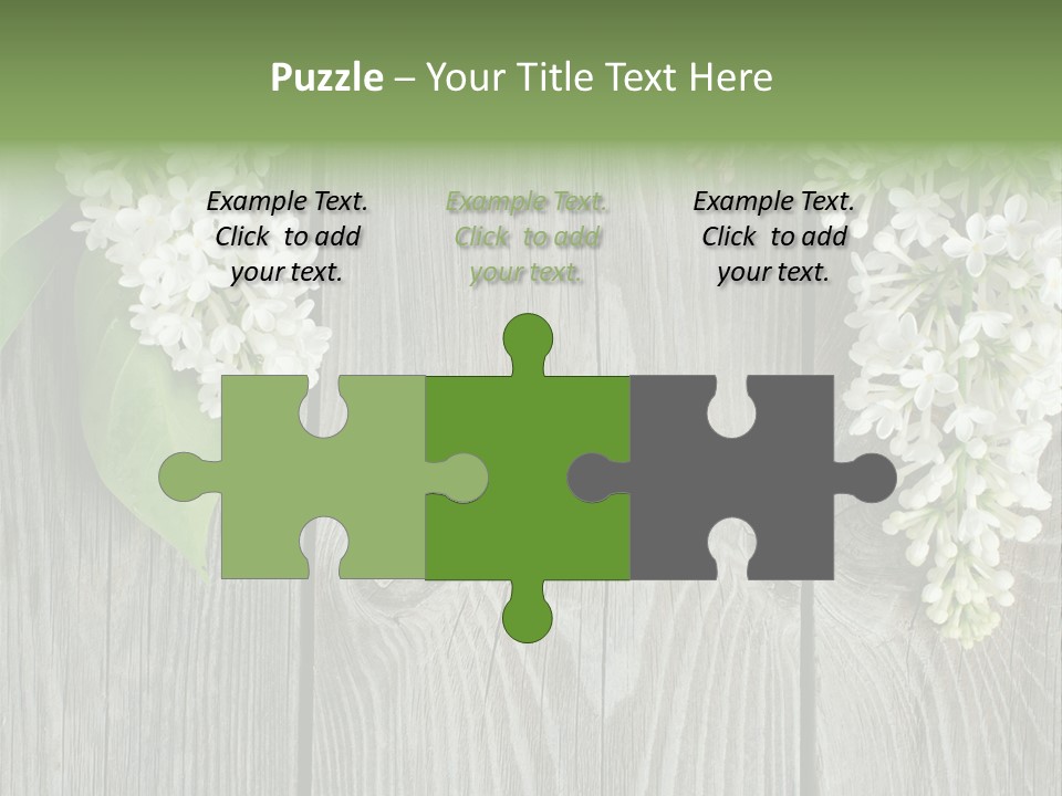 Flora Beauty Space PowerPoint Template