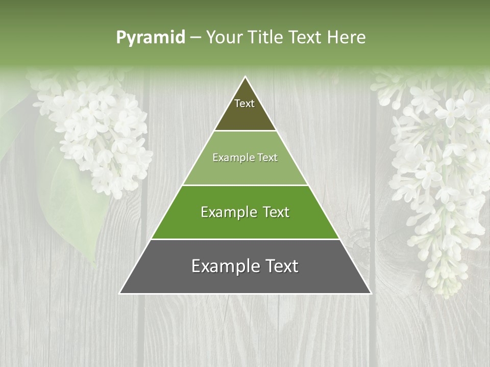 Flora Beauty Space PowerPoint Template