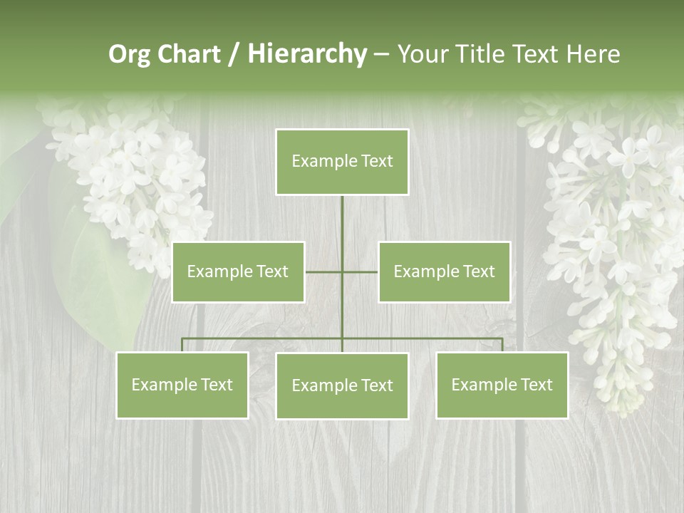 Flora Beauty Space PowerPoint Template