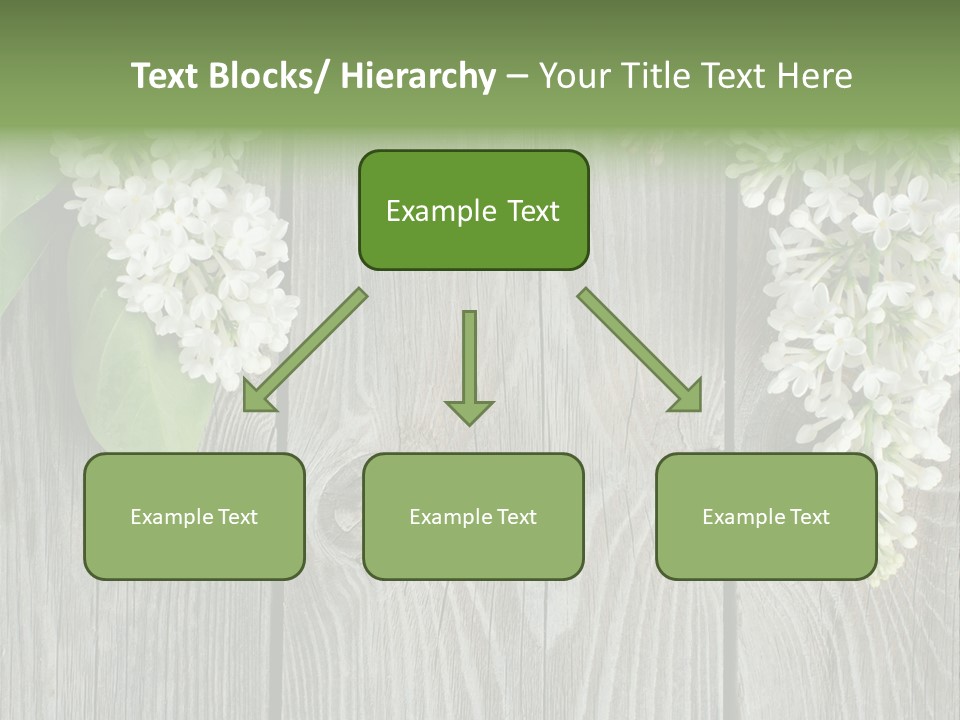 Flora Beauty Space PowerPoint Template