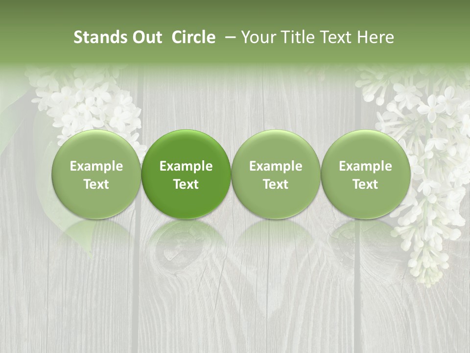 Flora Beauty Space PowerPoint Template