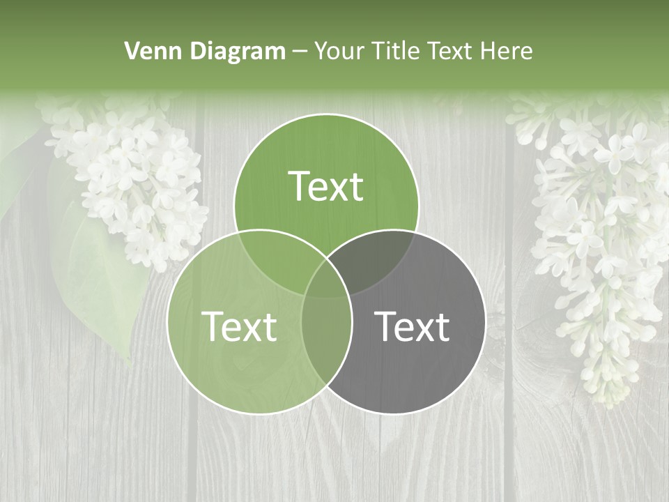 Flora Beauty Space PowerPoint Template