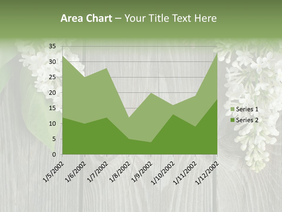 Flora Beauty Space PowerPoint Template