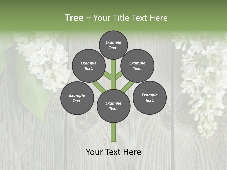 Flora Beauty Space PowerPoint Template