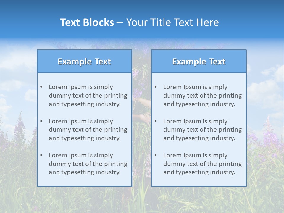 Adult Sky Elegant PowerPoint Template