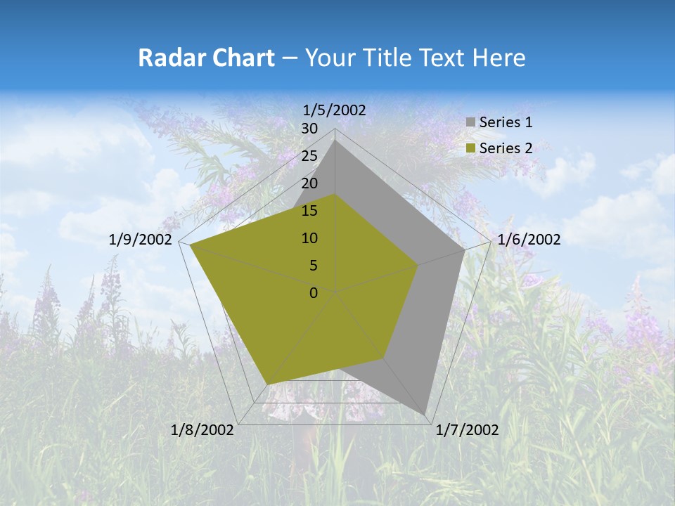 Adult Sky Elegant PowerPoint Template