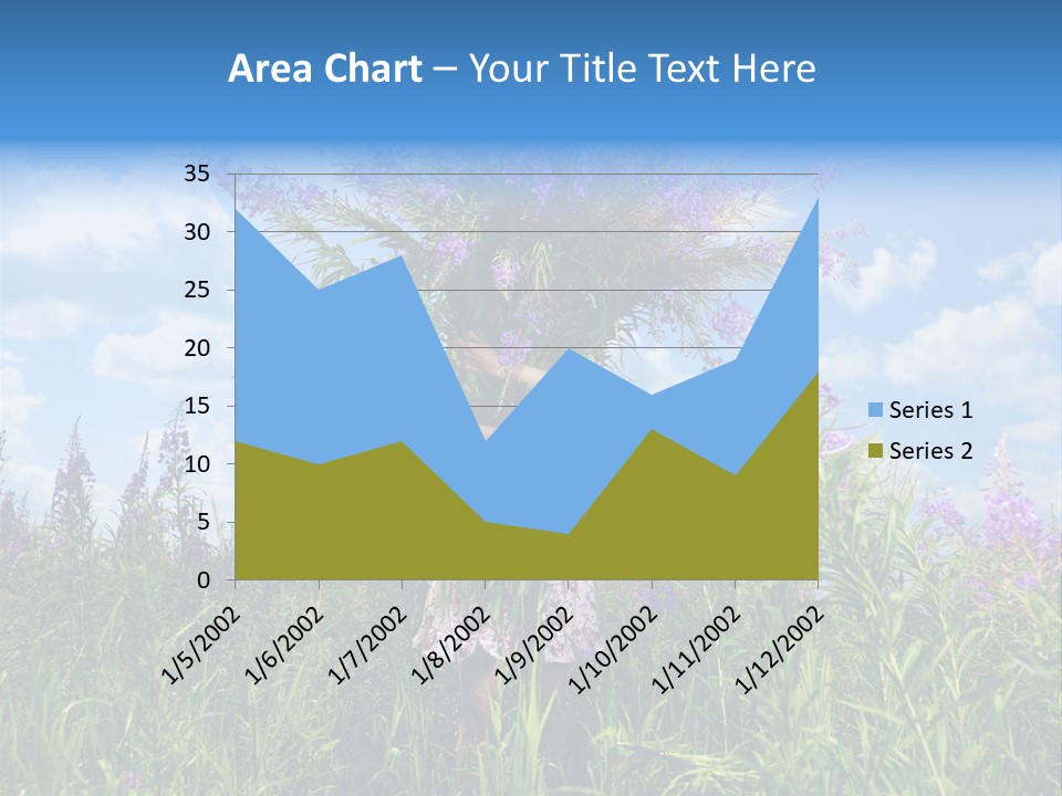 Adult Sky Elegant PowerPoint Template
