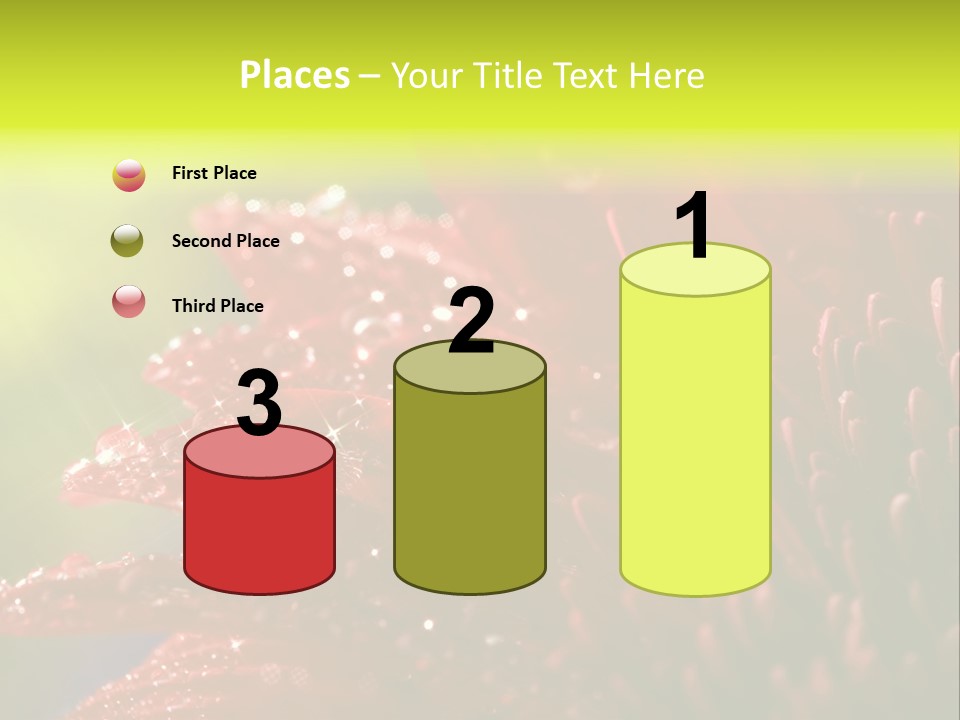 Gift Close Pretty PowerPoint Template