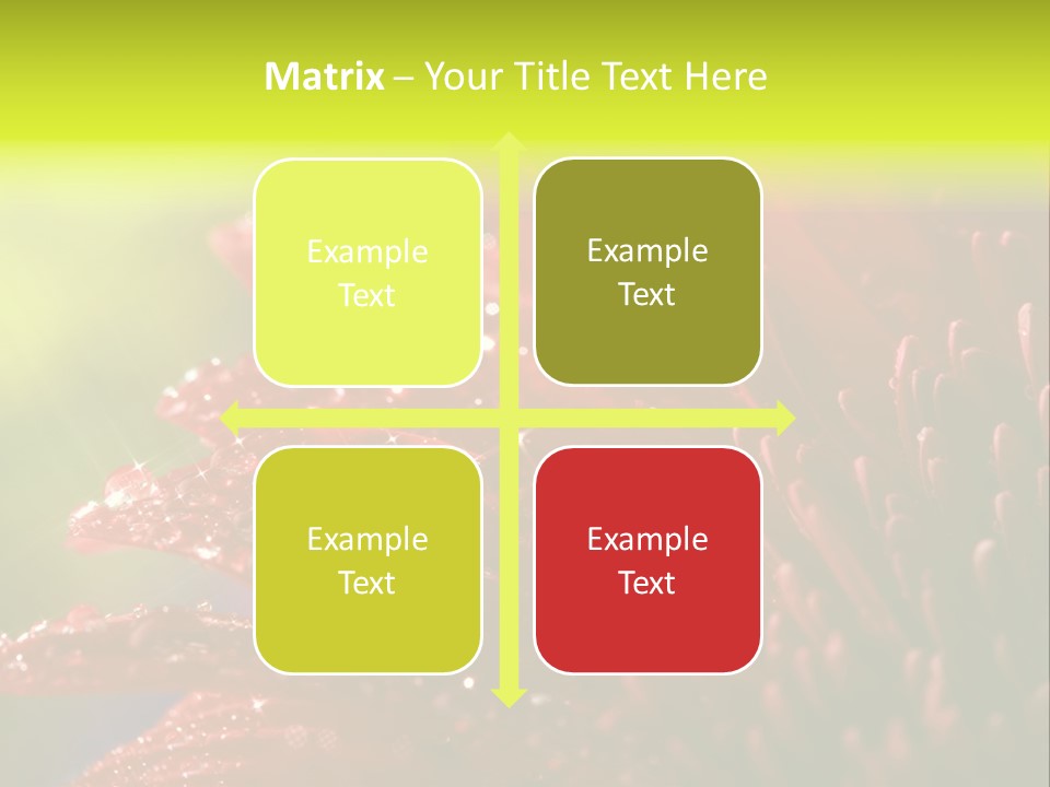 Gift Close Pretty PowerPoint Template