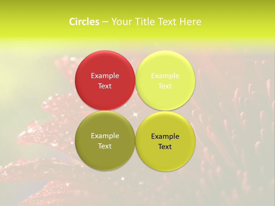 Gift Close Pretty PowerPoint Template