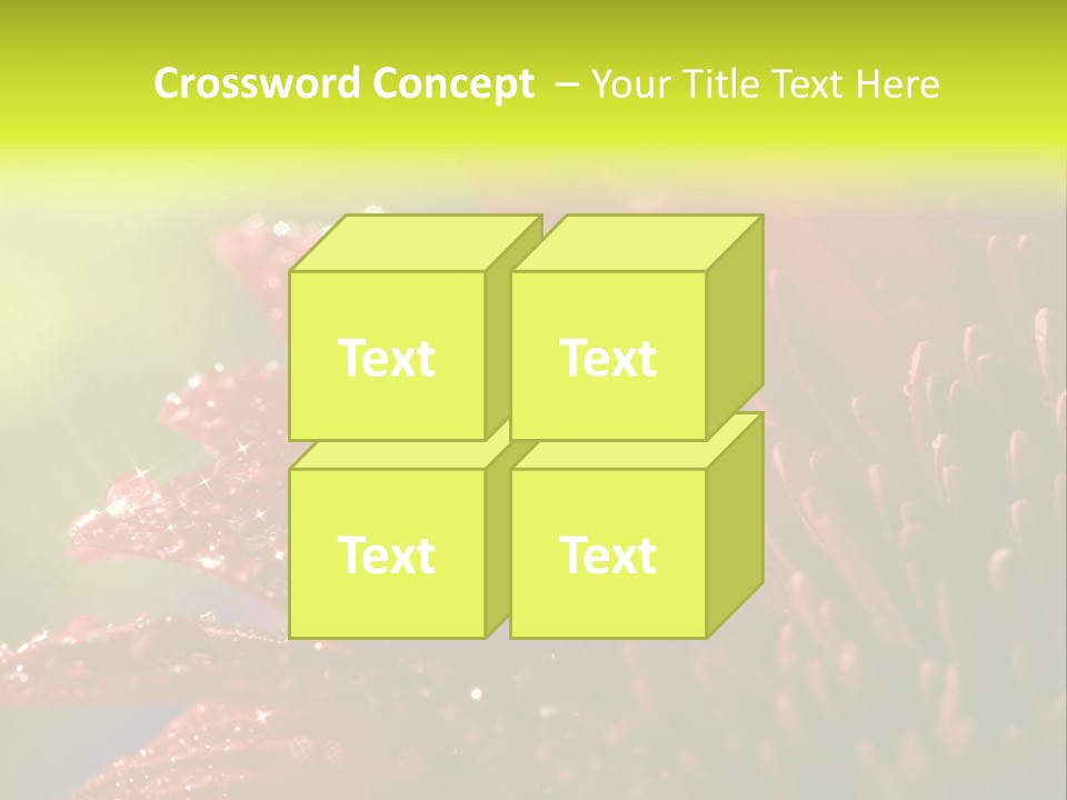 Gift Close Pretty PowerPoint Template