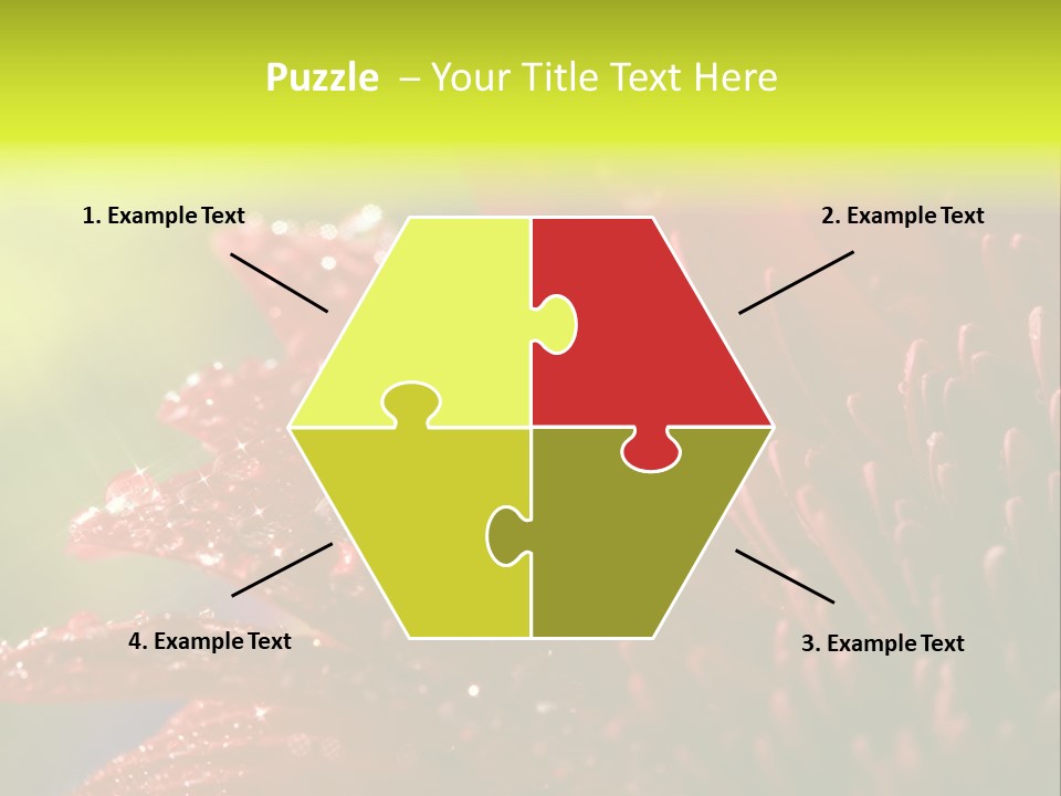 Gift Close Pretty PowerPoint Template