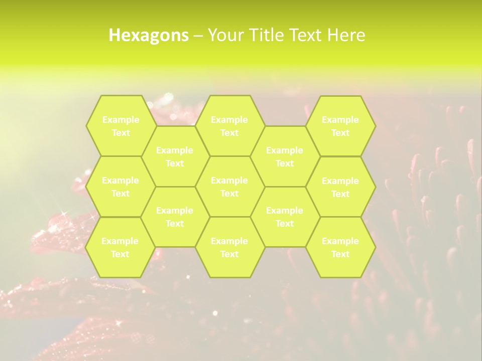 Gift Close Pretty PowerPoint Template