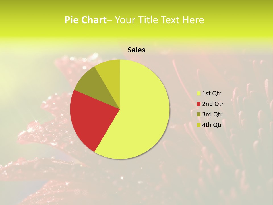 Gift Close Pretty PowerPoint Template