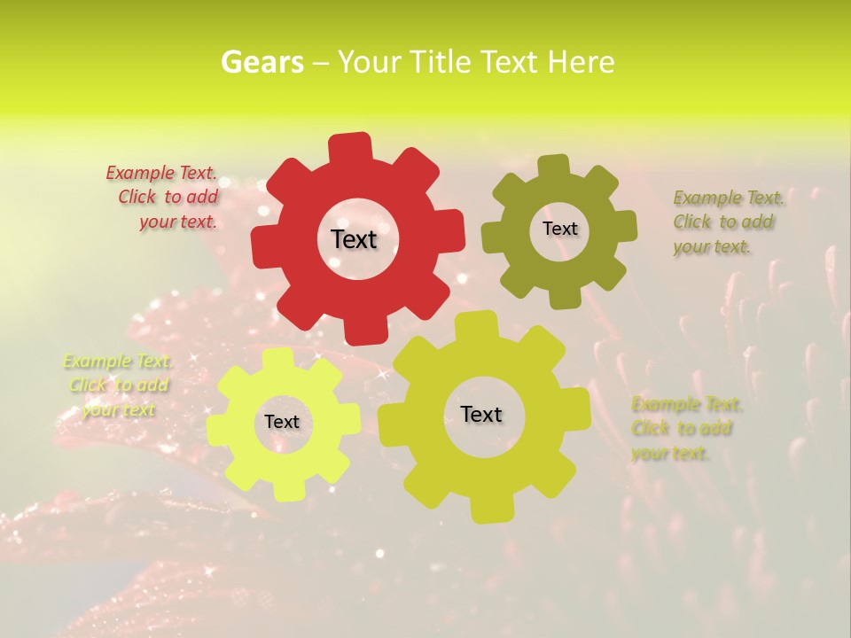 Gift Close Pretty PowerPoint Template