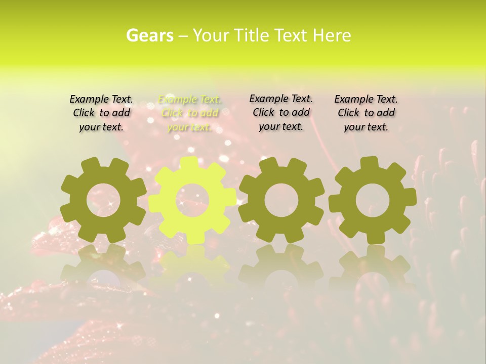 Gift Close Pretty PowerPoint Template