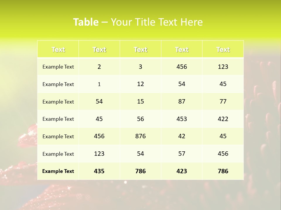 Gift Close Pretty PowerPoint Template
