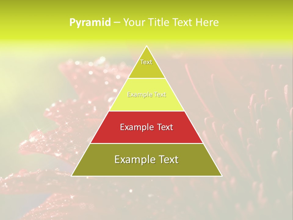 Gift Close Pretty PowerPoint Template