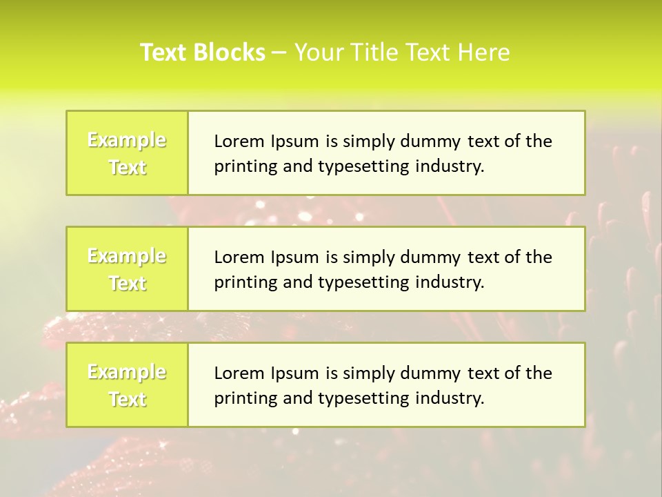 Gift Close Pretty PowerPoint Template