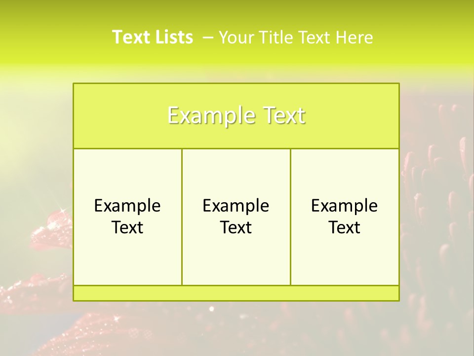 Gift Close Pretty PowerPoint Template